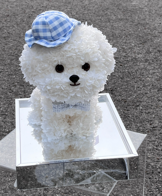 Flaurea Preserved Flower Floral Puppy - Blue Hat